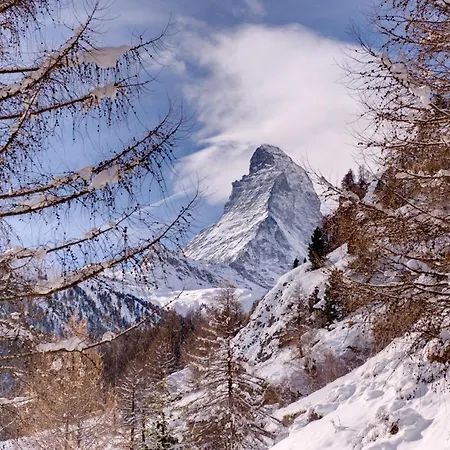 And Penthouse Zen, Two Properties, 100m From Lift And Piste 木屋 *