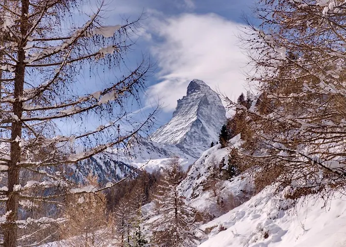 And Penthouse Zen, Two Properties, 100m From Lift And Piste 木屋 *