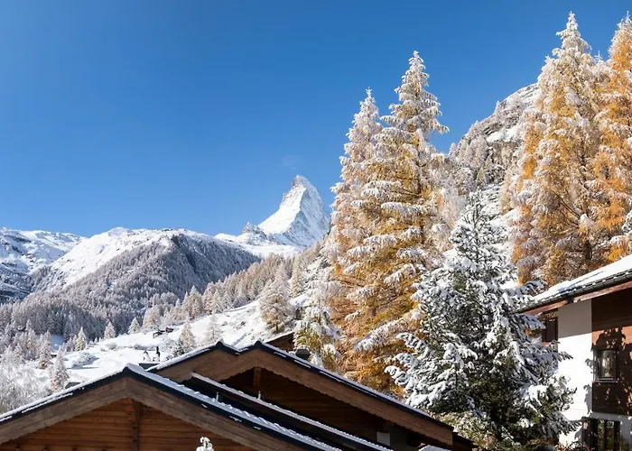 And Penthouse Zen, Two Properties, 100m From Lift And Piste